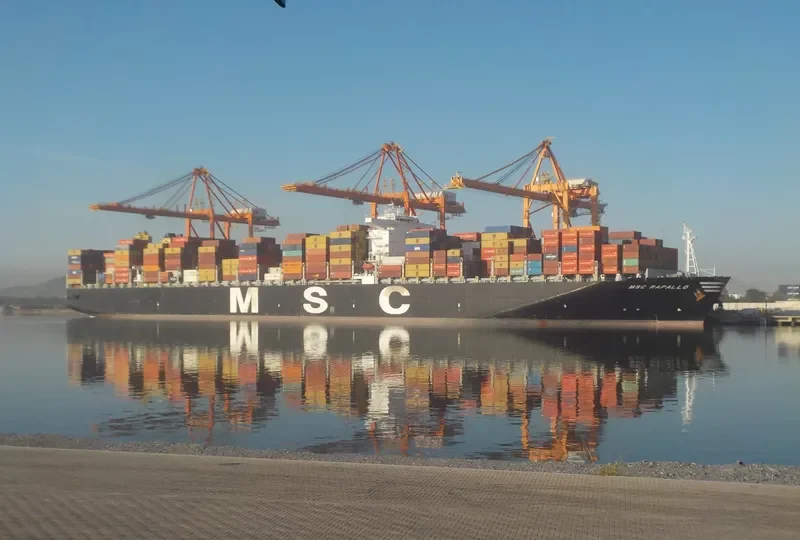 MSC RAPALLO Container Ship IMO 9484455 photo 10