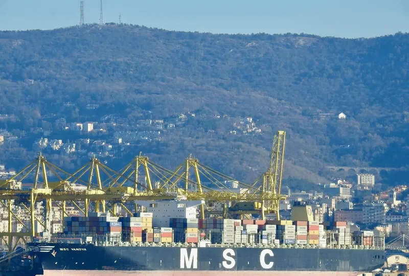 MSC VANDYA Container Ship IMO 9484467