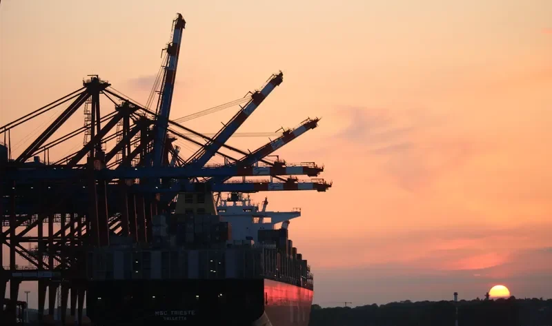 MSC TRIESTE Container Ship IMO 9484479