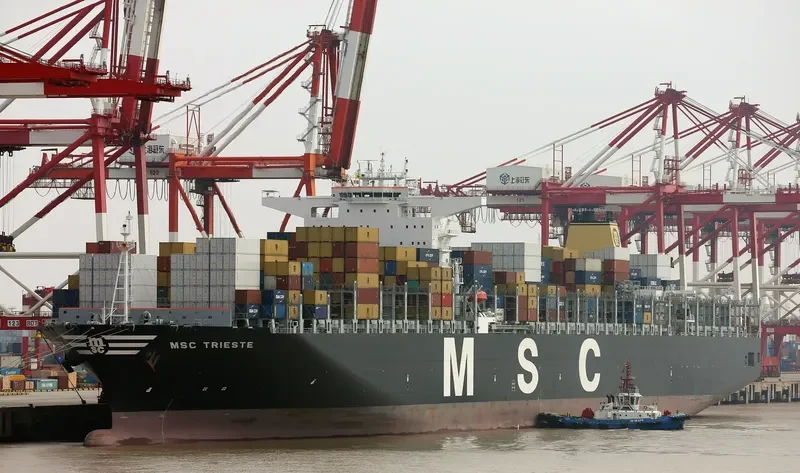 MSC TRIESTE Container Ship IMO 9484479 photo 6