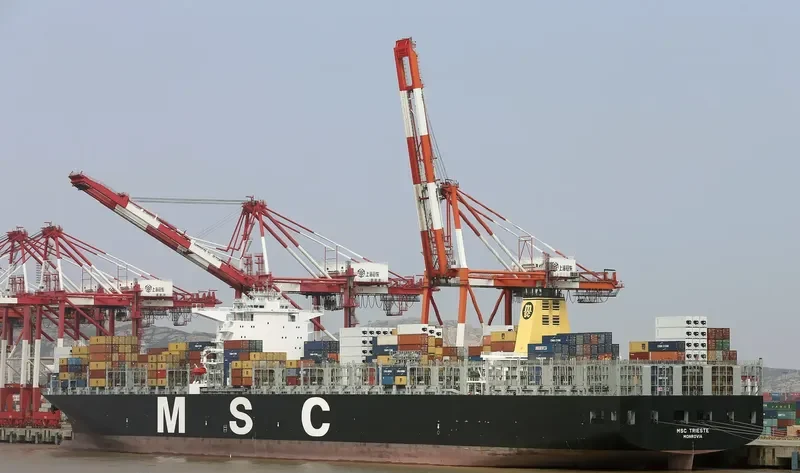 MSC TRIESTE Container Ship IMO 9484479 photo 7