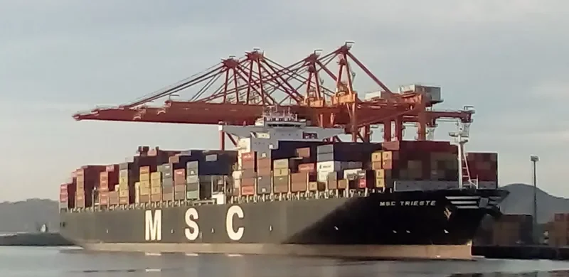 MSC TRIESTE Container Ship IMO 9484479 photo 8