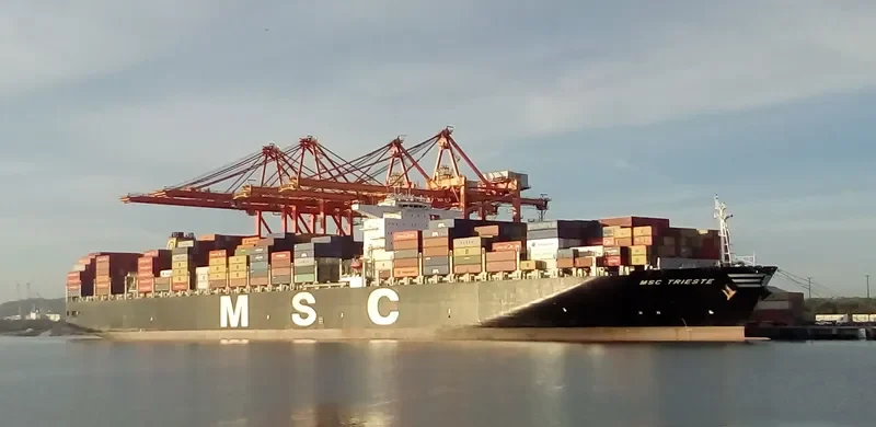 MSC TRIESTE Container Ship IMO 9484479 photo 9