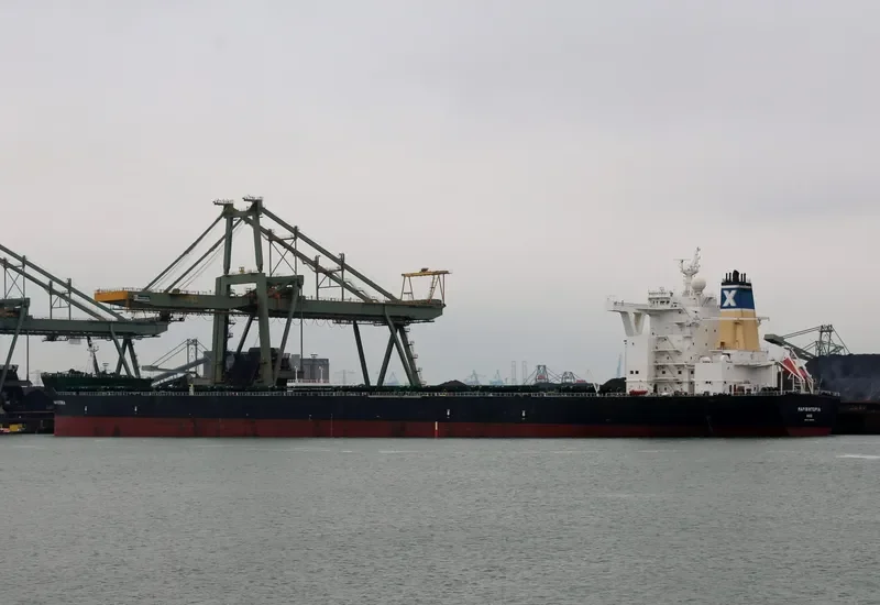 MARIVICTORIA Bulk Carrier IMO 9484493 photo 5
