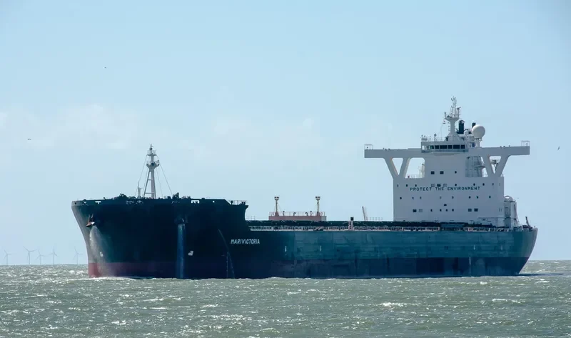 MARIVICTORIA Bulk Carrier IMO 9484493 photo 8