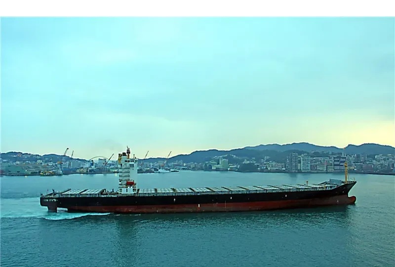 LANA Container Ship IMO 9484522