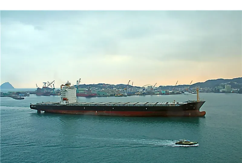 LANA Container Ship IMO 9484522 photo 2