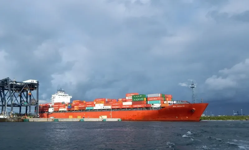 BEA SCHULTE Container Ship IMO 9484558