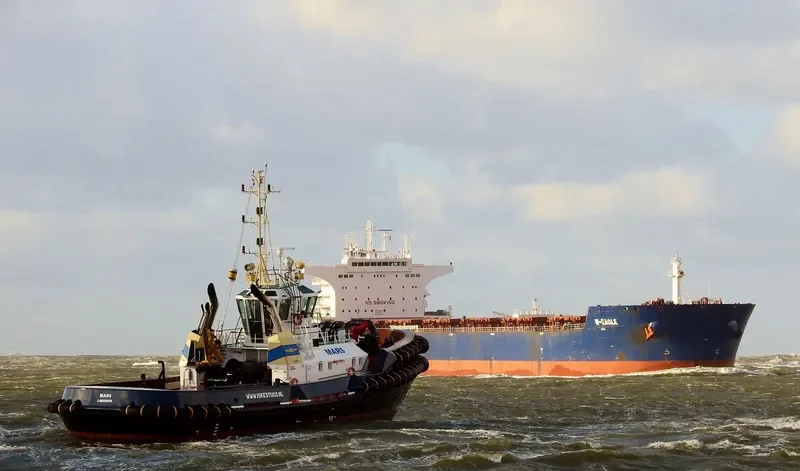 W EAGLE Bulk Carrier IMO 9484675 photo 3