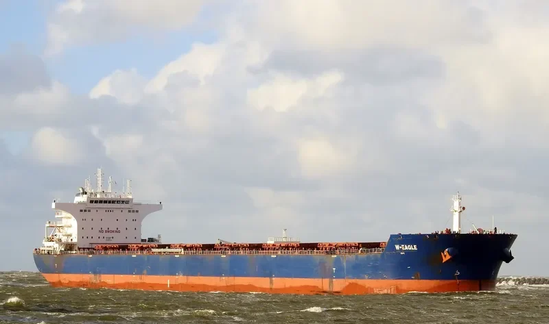 W EAGLE Bulk Carrier IMO 9484675 photo 5