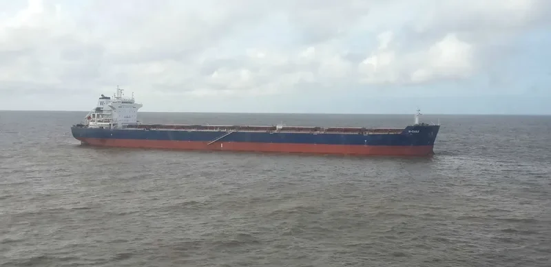 W EAGLE Bulk Carrier IMO 9484675 photo 6