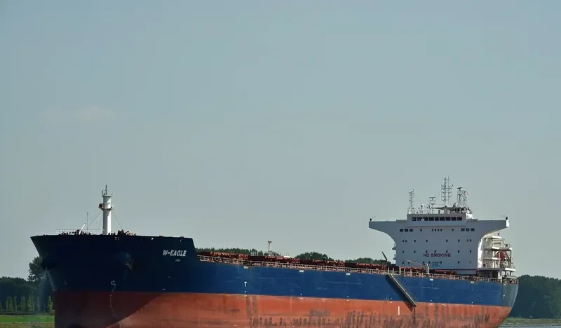 W EAGLE Bulk Carrier IMO 9484675 photo 8