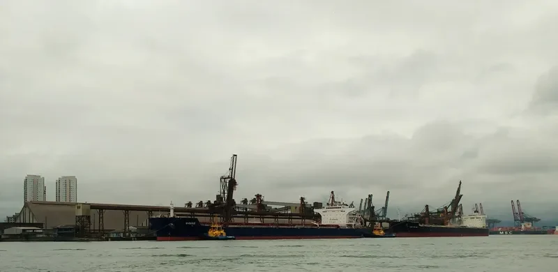 W EAGLE Bulk Carrier IMO 9484675 photo 9