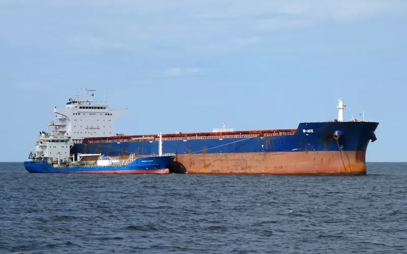 W ACE Bulk Carrier IMO 9484687