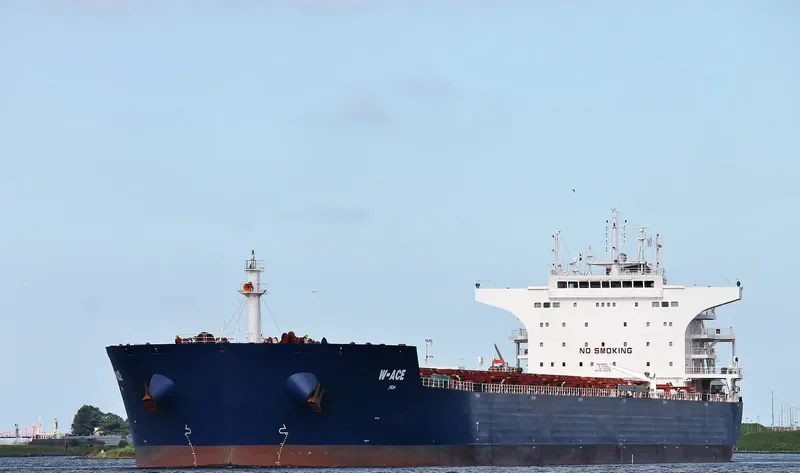 W ACE Bulk Carrier IMO 9484687 photo 2