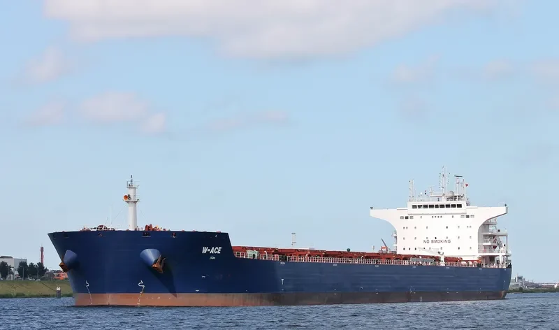 W ACE Bulk Carrier IMO 9484687 photo 3