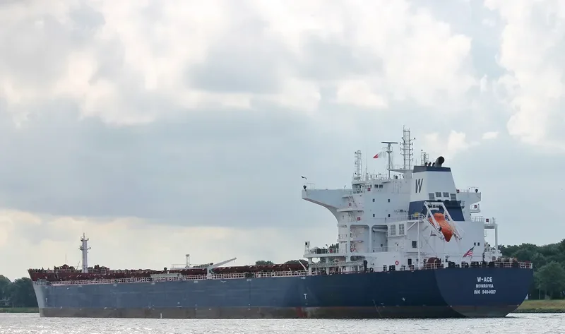 W ACE Bulk Carrier IMO 9484687 photo 4