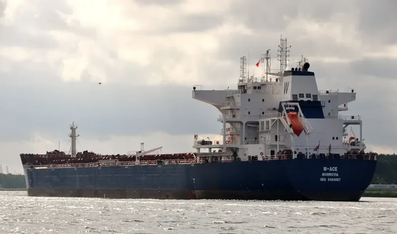 W ACE Bulk Carrier IMO 9484687 photo 6
