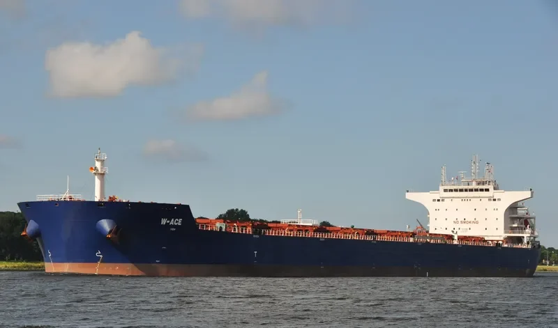 W ACE Bulk Carrier IMO 9484687 photo 7