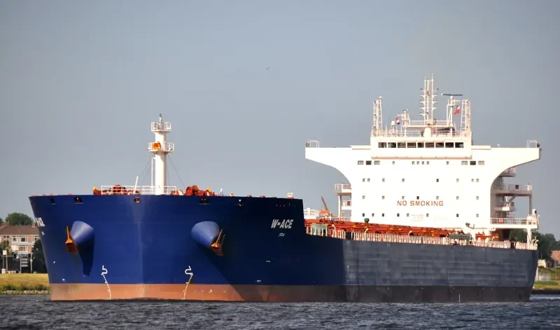 W ACE Bulk Carrier IMO 9484687 photo 8