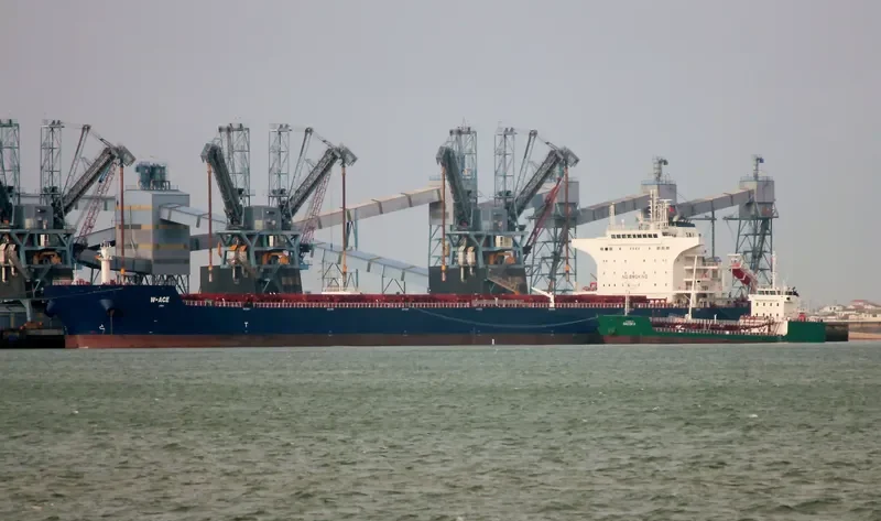 W ACE Bulk Carrier IMO 9484687 photo 9