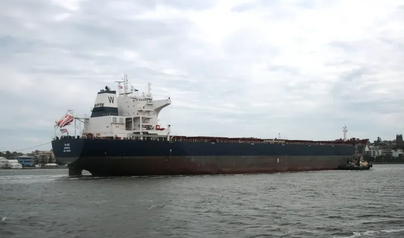 W ACE Bulk Carrier IMO 9484687 photo 10