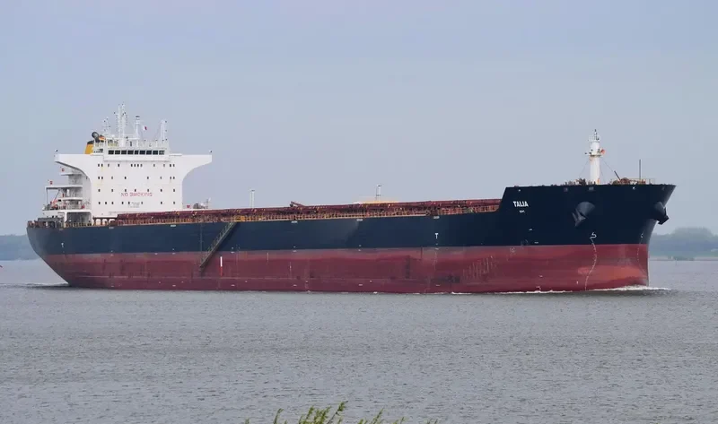 W OSLO Bulk Carrier IMO 9484699 photo 4