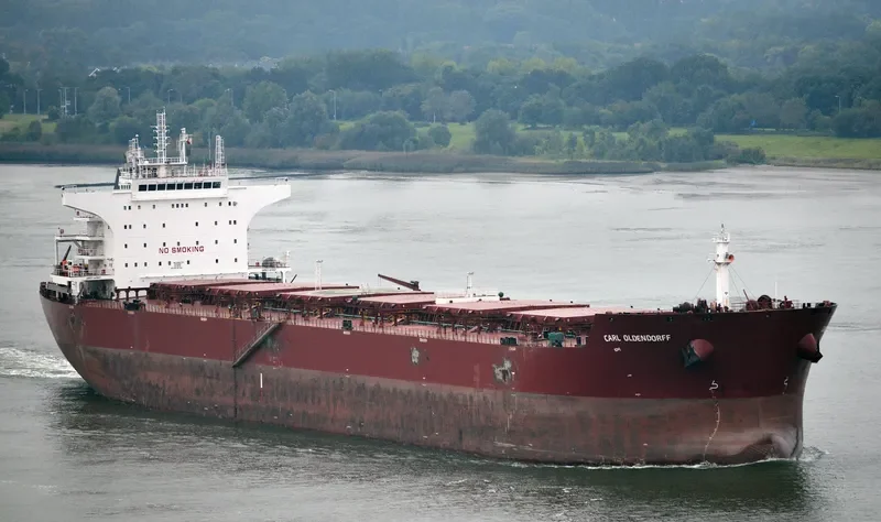 CARL OLDENDORFF Bulk Carrier IMO 9484704 photo 2