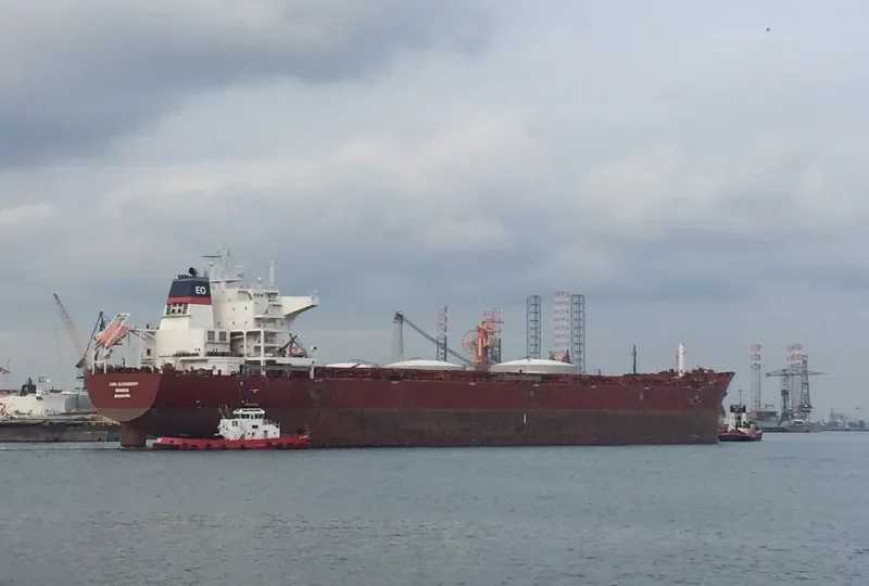 CARL OLDENDORFF Bulk Carrier IMO 9484704 photo 4