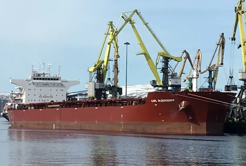 CARL OLDENDORFF Bulk Carrier IMO 9484704 photo 5