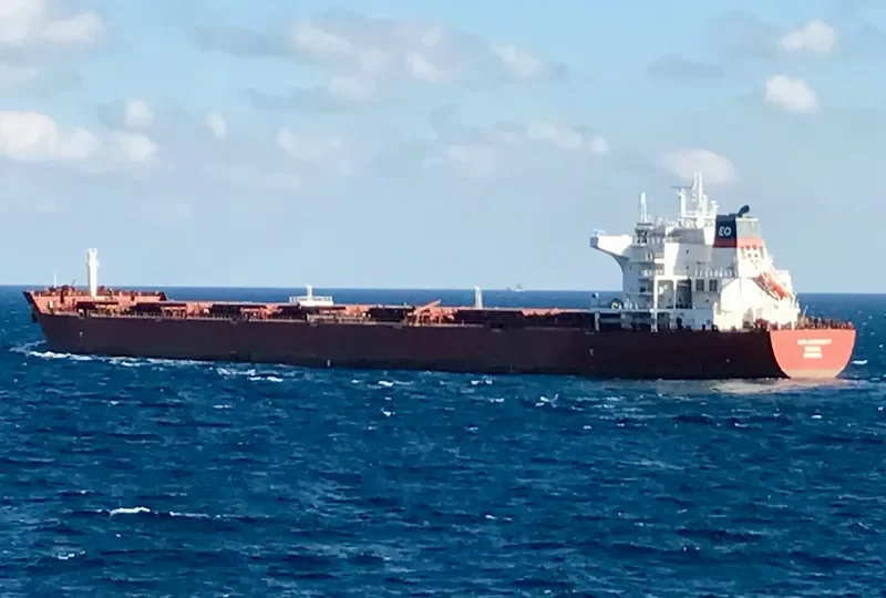 CARL OLDENDORFF Bulk Carrier IMO 9484704 photo 6
