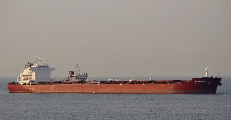 CARL OLDENDORFF Bulk Carrier IMO 9484704 photo 7