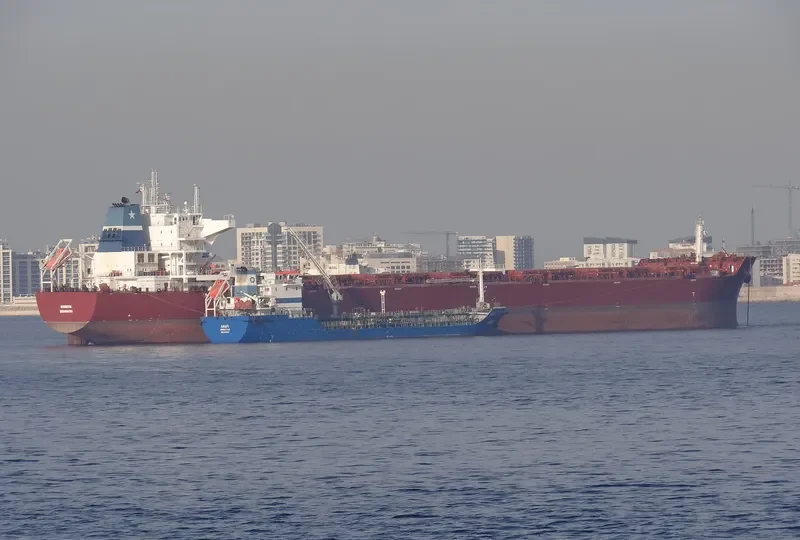 CARL OLDENDORFF Bulk Carrier IMO 9484704 photo 9