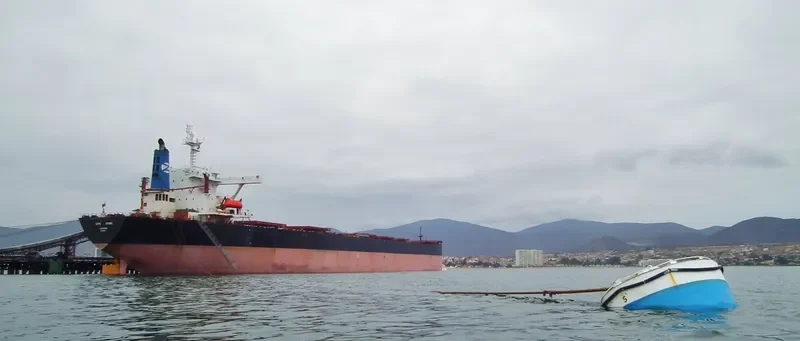 CAPE STORK Bulk Carrier IMO 9484807