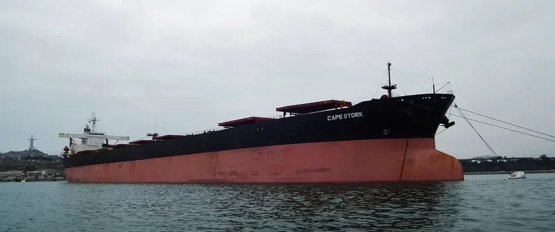 CAPE STORK Bulk Carrier IMO 9484807 photo 2