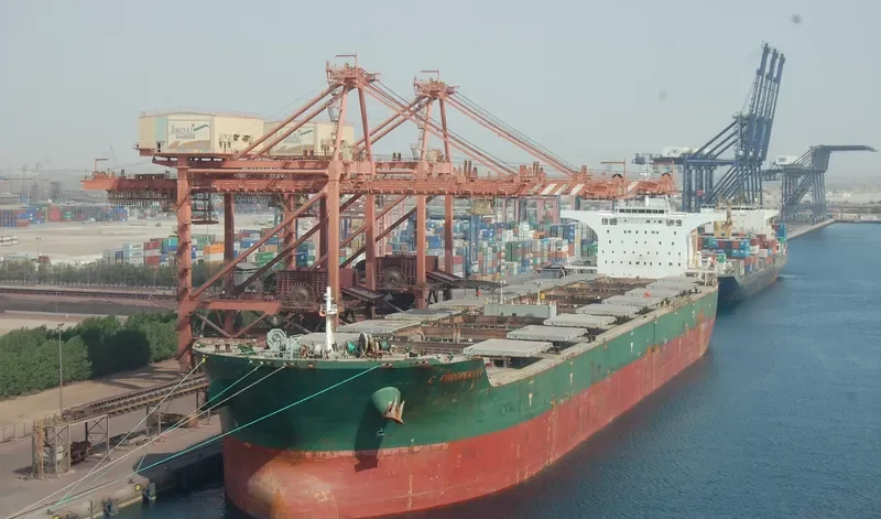 CAPE STORK Bulk Carrier IMO 9484807 photo 4