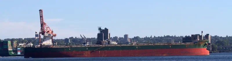CAPE STORK Bulk Carrier IMO 9484807 photo 6