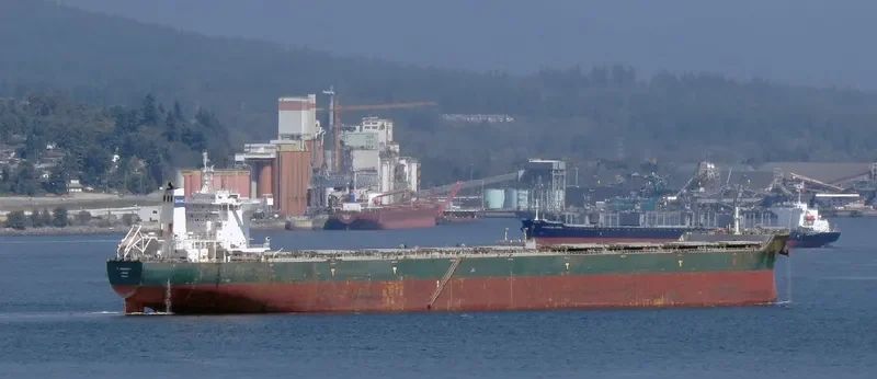 CAPE STORK Bulk Carrier IMO 9484807 photo 8