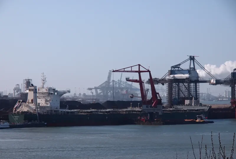 CAPE STORK Bulk Carrier IMO 9484807 photo 9