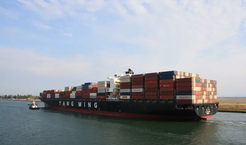 YM MILESTONE Container Ship IMO 9484998 photo 2