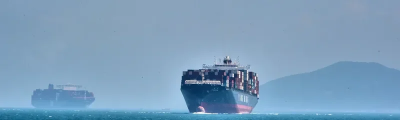 YM MILESTONE Container Ship IMO 9484998 photo 5