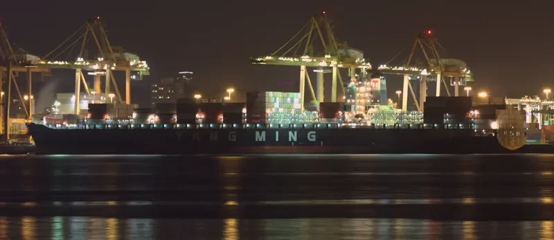 YM MILESTONE Container Ship IMO 9484998 photo 6