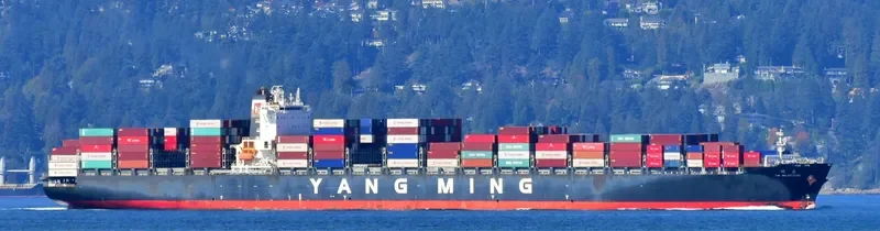 YM MILESTONE Container Ship IMO 9484998 photo 8