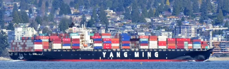 YM MASCULINITY Container Ship IMO 9485007 photo 3