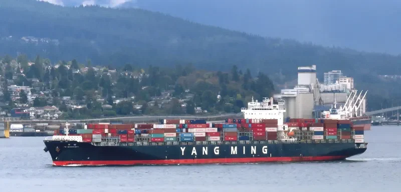 YM MASCULINITY Container Ship IMO 9485007 photo 5
