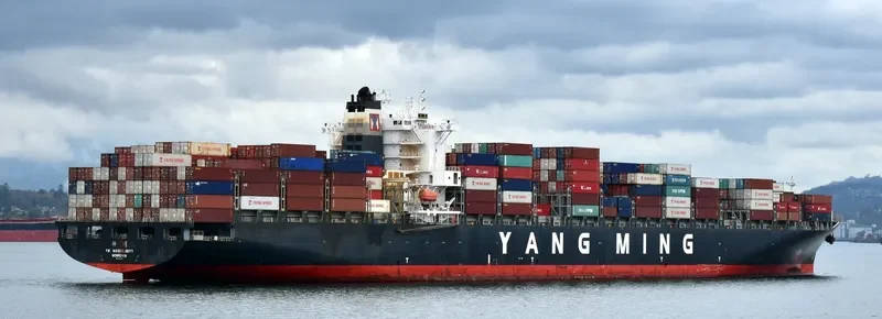 YM MASCULINITY Container Ship IMO 9485007 photo 8