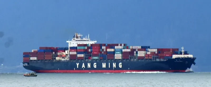 YM MASCULINITY Container Ship IMO 9485007 photo 10