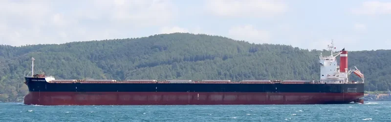CRIMSON EMPRESS Bulk Carrier IMO 9485021 photo 6