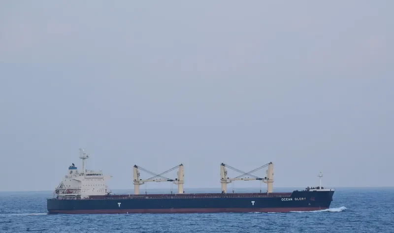OCEAN CENTURY Bulk Carrier IMO 9485033