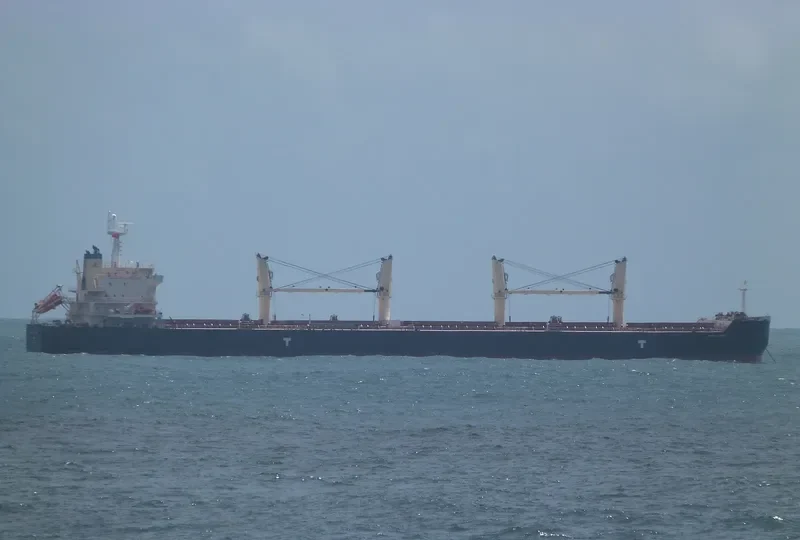 OCEAN CENTURY Bulk Carrier IMO 9485033 photo 3